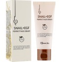 SECRET SKIN Snail Perfect Face Cream/Многофункциональный крем с муцином улитки 50 мл.