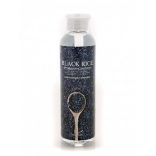 ECO BRANCH Black Rice Hypoallergenic Skin Toner/Тонер выравнивающий с экстрактом черного риса 250 мл.